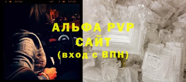 амф Гусев