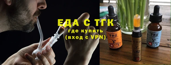 амф Гусев