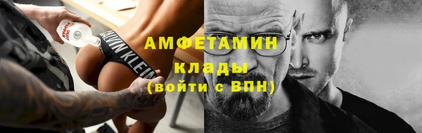 амф Гусев