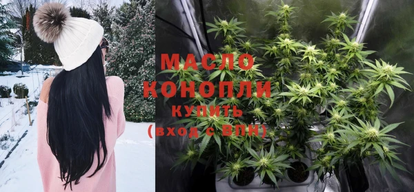 амф Гусев