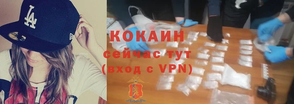 прущая мука Гусь-Хрустальный