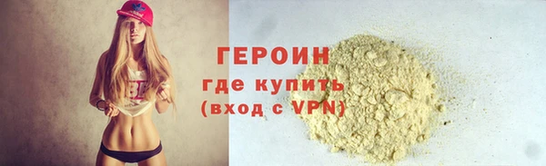 амф Гусев