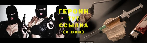 амф Гусев