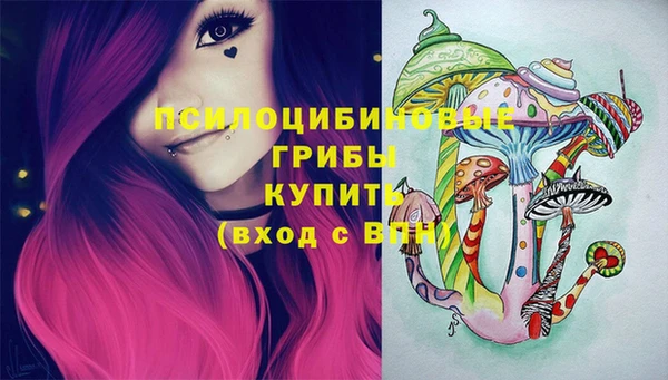 амф Гусев