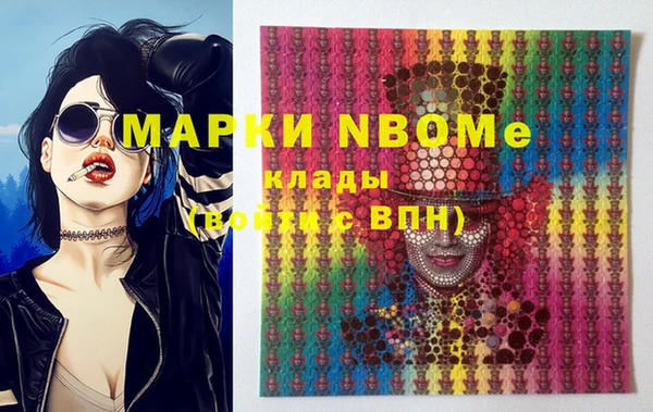 амф Гусев