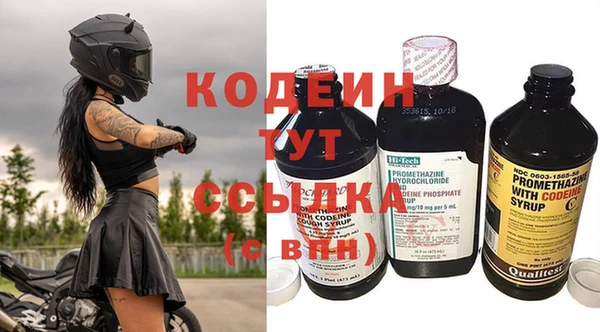амф Гусев