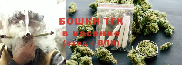 амф Гусев