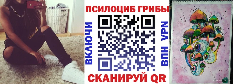 Галлюциногенные грибы Psilocybe  Северская 